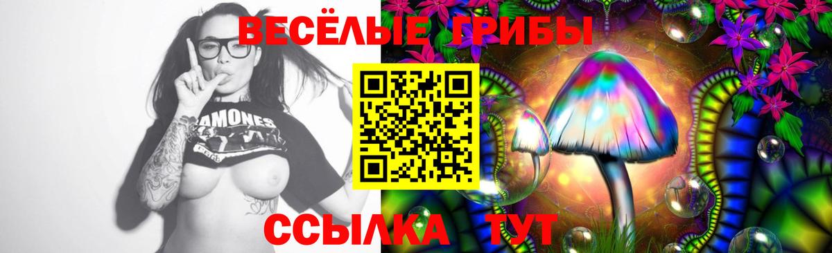Тобольск  Галлюциногенные грибы Cubensis  Вход с VPN  Псилоцибиновые грибы ЛСД 